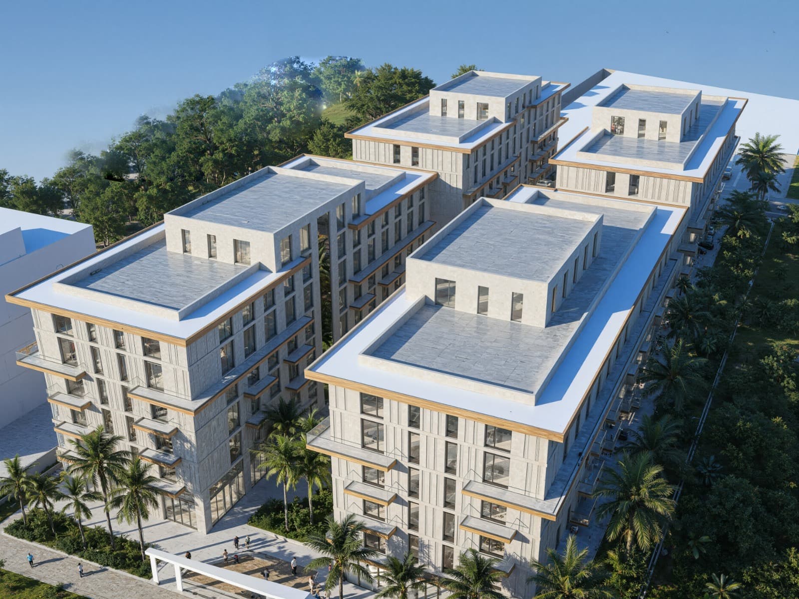 Palm Paradise, photo 14